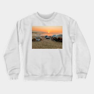 Seashell in the sand with the shining of the Crewneck Sweatshirt